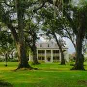 Houmas Plantation, Houmas Plantation and Gardens, Louisiana Plantations, Greek Revival Archicteture, Plantation Houses, Southern Mansions, Curator of Shit, Historic Preservation, Art Museum Louisiana, Architectural History, Landscape Architecture